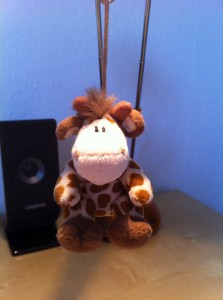 Rudolpho die Giraffe