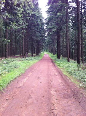 Waldweg