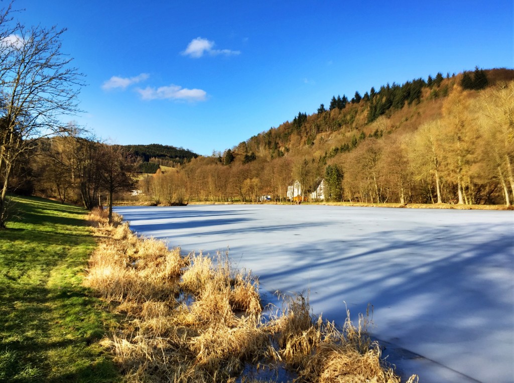 Zugefrorener Bömighäuser Teich