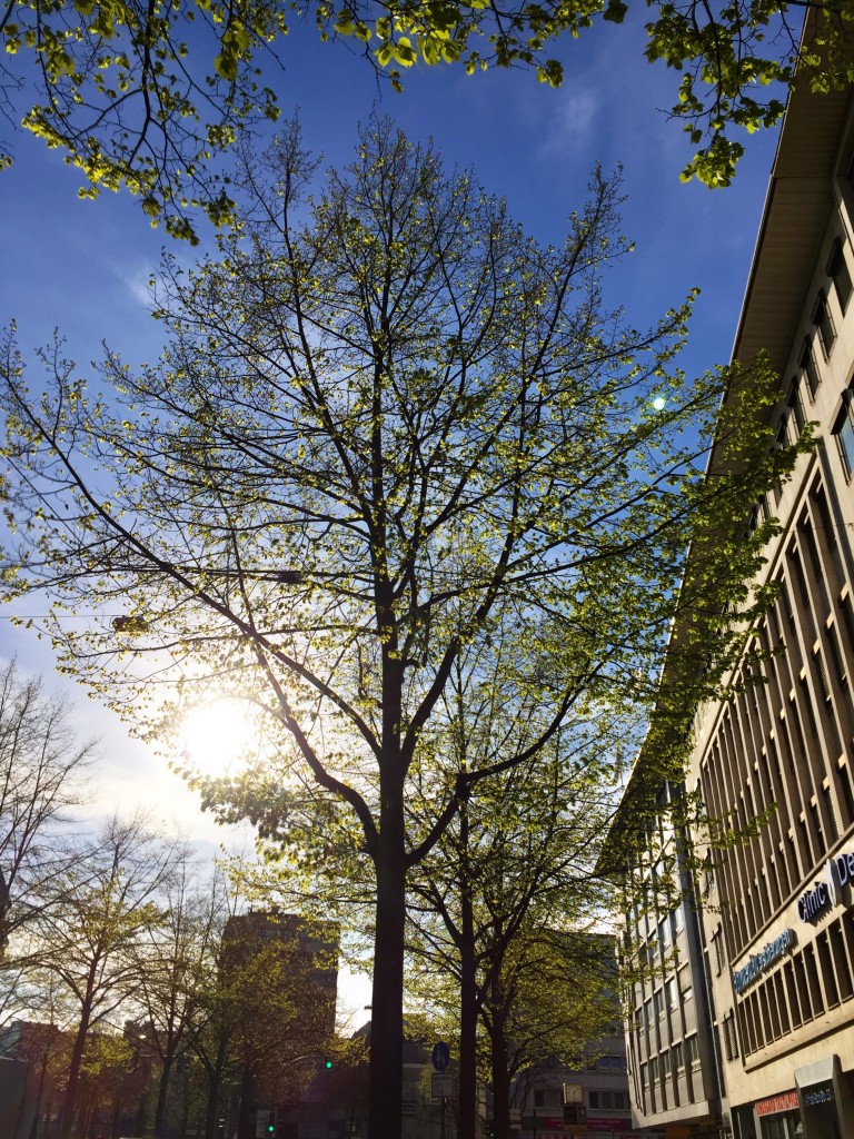 Frühling in Bielefeld